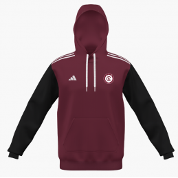 SWEAT HOODY ENTRADA JUNIOR