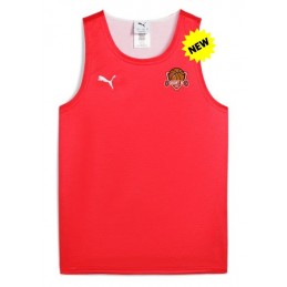 MAILLOT REVERSIBLE...